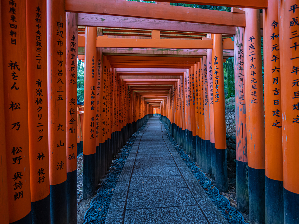 京都・伏見稲荷 + LEICA SUMMILUX 9mm With GH6⑥