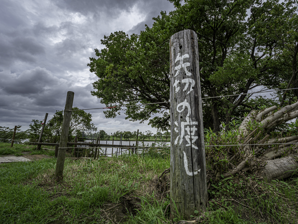 G9 Pro 作例22 矢切の渡し