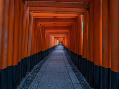 京都・伏見稲荷 + LEICA SUMMILUX 9mm With GH6⑨