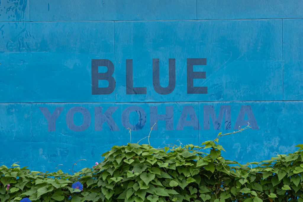 GH6+LEICA DG VARIO-ELMARIT 50-200mm 横浜②