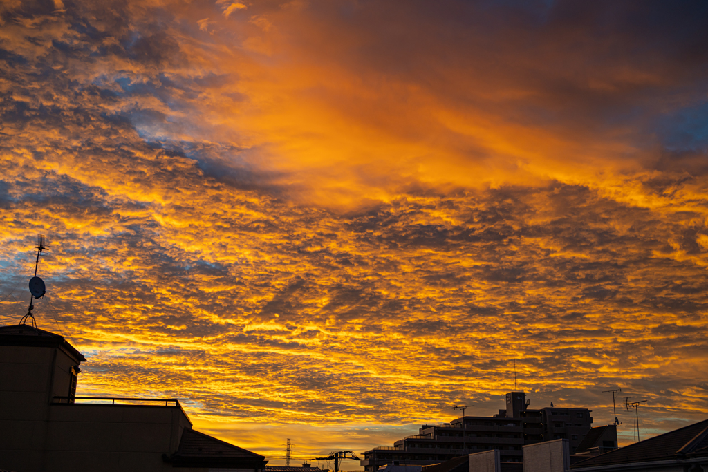 Z8 + NIKKOR Z 40mm f/2 サンプル