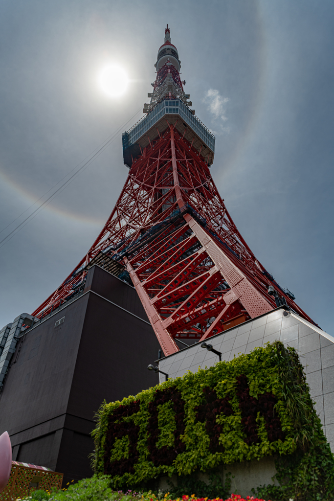 東京タワーの虹の輪(ハロ現象？) 作例３