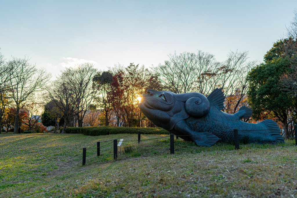 D850 35mmでの作例①