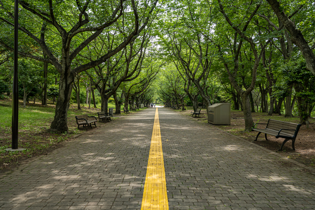 さよならZ7Ⅱ 最後に葛西臨海公園⑨