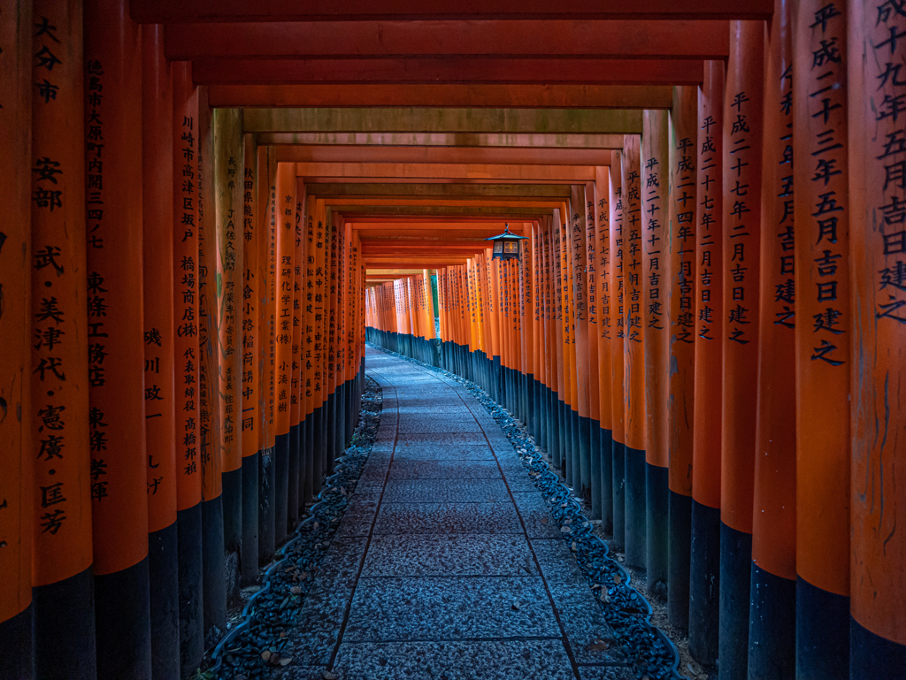 京都・伏見稲荷 + LEICA SUMMILUX 9mm With GH6⑦