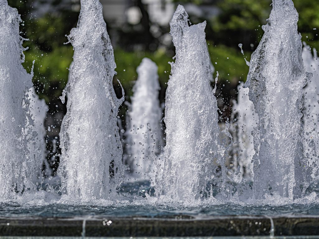 SIGMA 56mm F1.4 DC DN 37