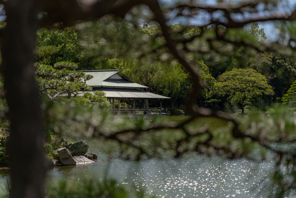 清澄庭園　涼亭と湖面の反射