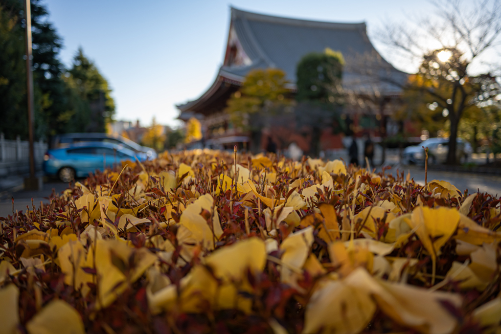 NIKKOR Z 28mm f/2.8 テスト06