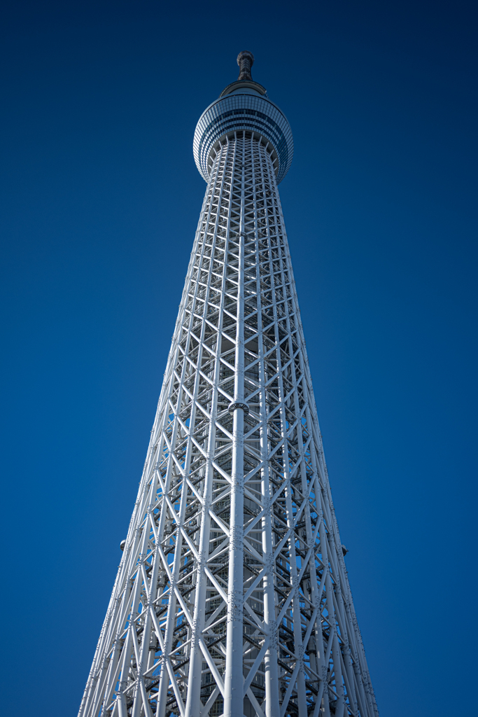 NIKKOR Z 28mm f/2.8 テスト01