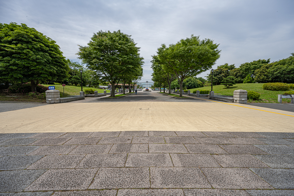 さよならZ7Ⅱ 最後に葛西臨海公園⑬