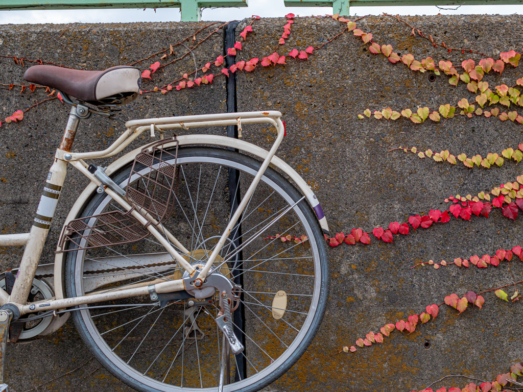 G9 Pro  15mmでの作例③