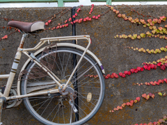 G9 Pro  15mmでの作例③