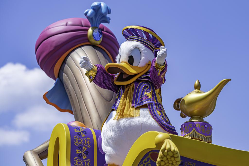 東京ディズニーランド ドナルドダック