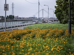 SIGMA 56mm F1.4 DC DN 23