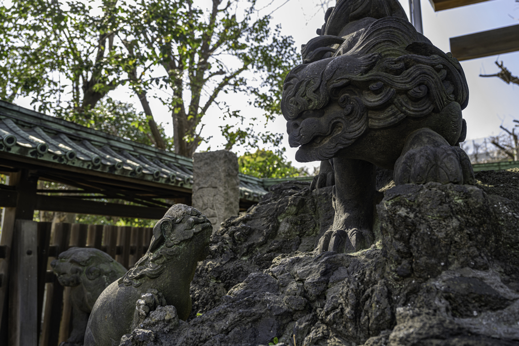 獅子の親子