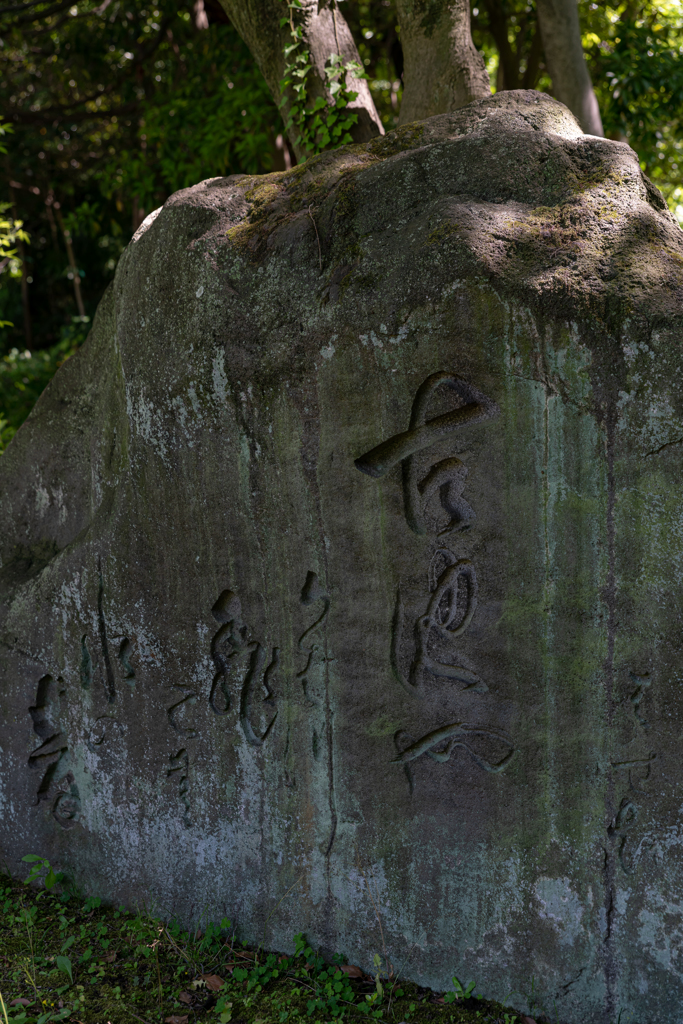 清澄庭園　古池や蛙飛びこむ水の音