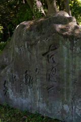 清澄庭園　古池や蛙飛びこむ水の音