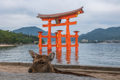 S5Ⅱ 広島 厳島神社