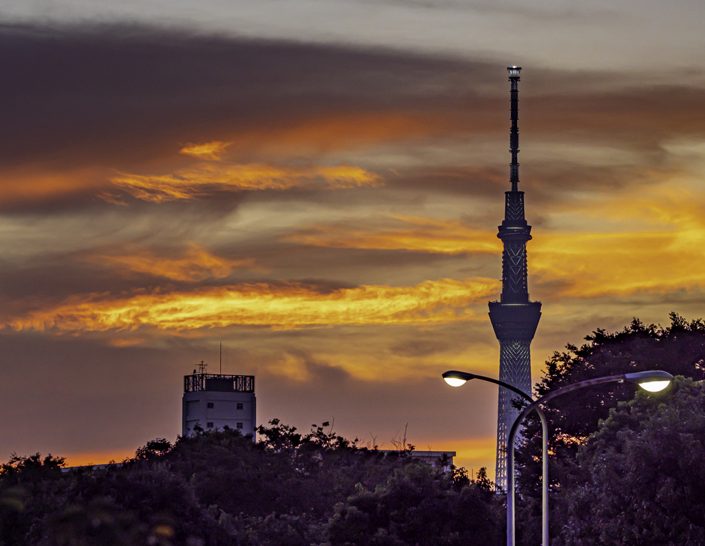 SIGMA 56mm F1.4 DC DN ⑮