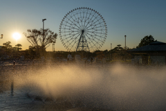 葛西臨海公園　夕暮れの噴水と観覧車