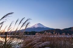 すすきと富士山と夜明けと