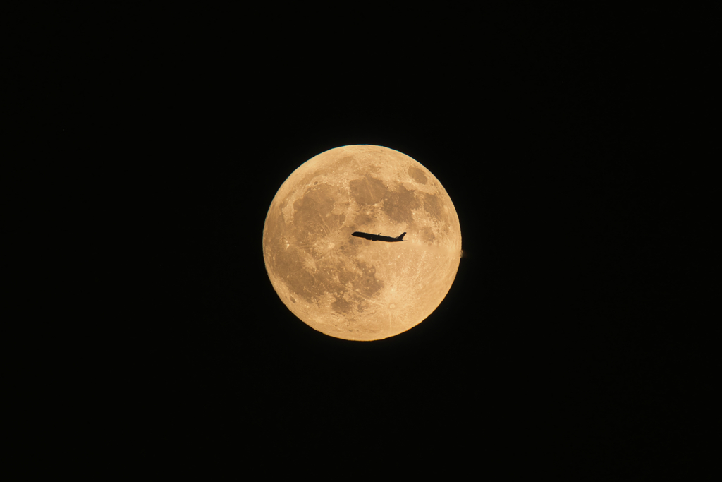 FLY TO THE MOON