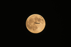 FLY TO THE MOON
