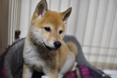 newcomer!