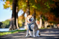 水元公園にて