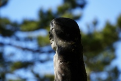 光を浴びる石像