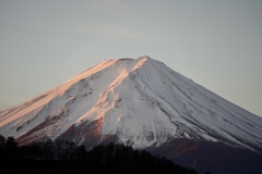 河口湖から見た富士山