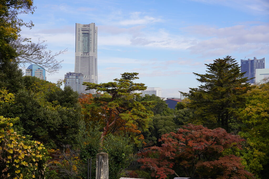 横浜市立野毛山動物園から見えるランドマークタワー