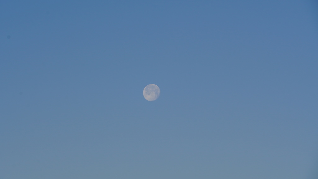 朝の月