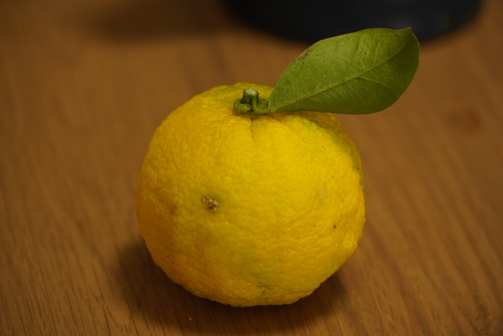 ゆず