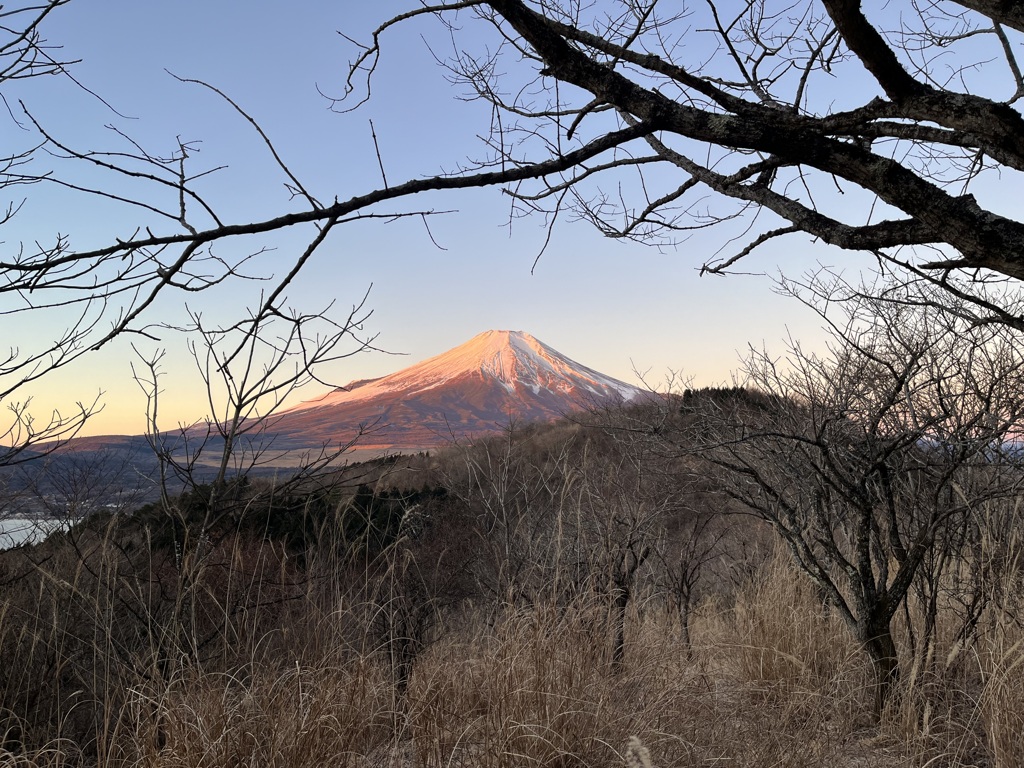 紅富士