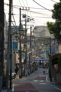 朝の通り