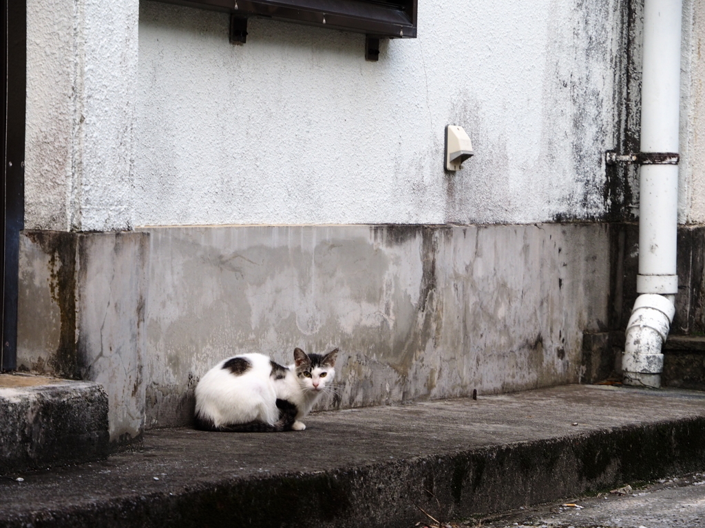 まったり・・