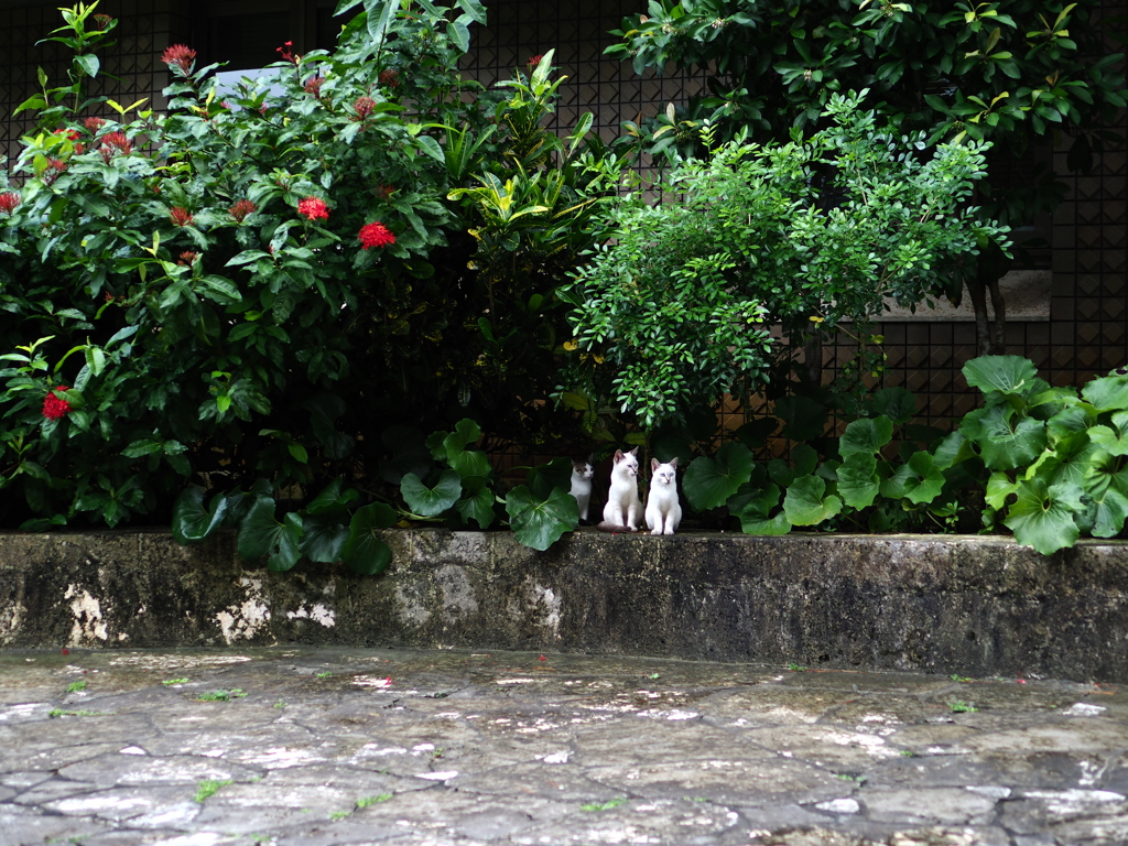 浦添市美術館にて