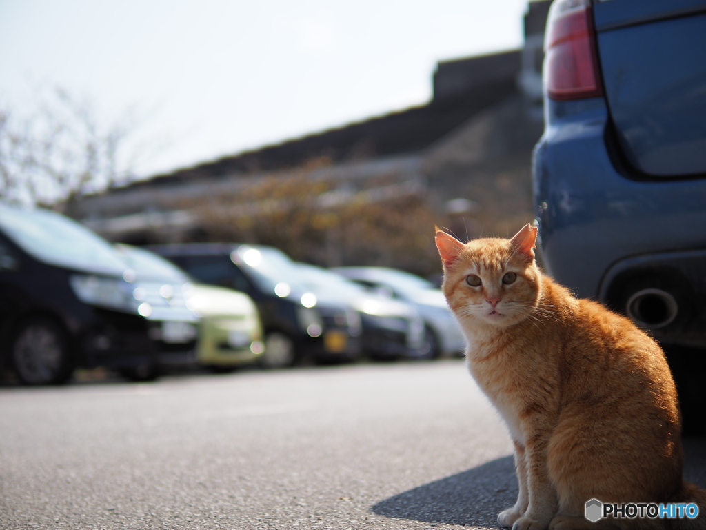 ハイポーズ(^O^)