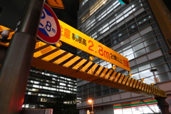 外で試し撮り