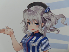 久々に鹿島タペストリーを引っ張り出してきた