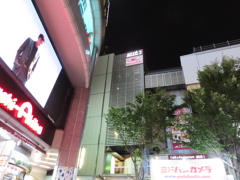 「40倍ズーム」ってこんな感じ-1