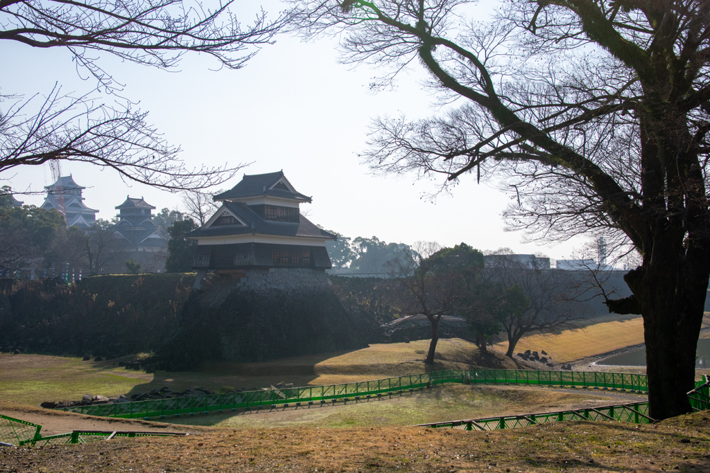 LOG_0202