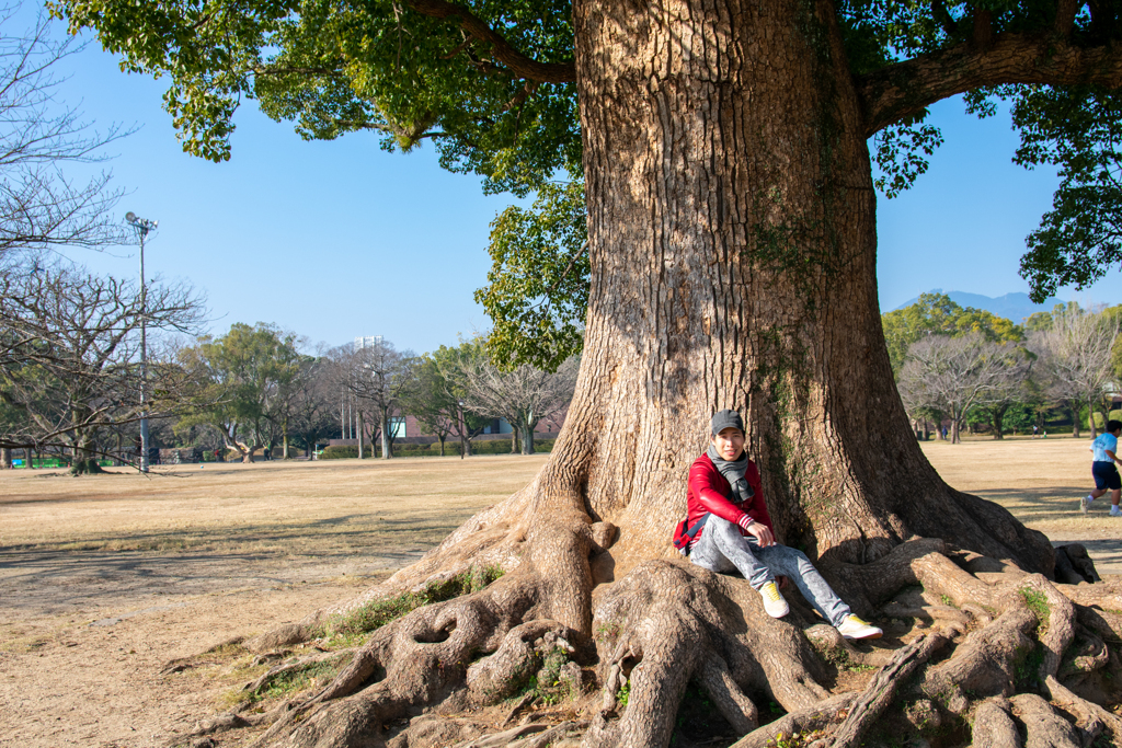 LOG_0196