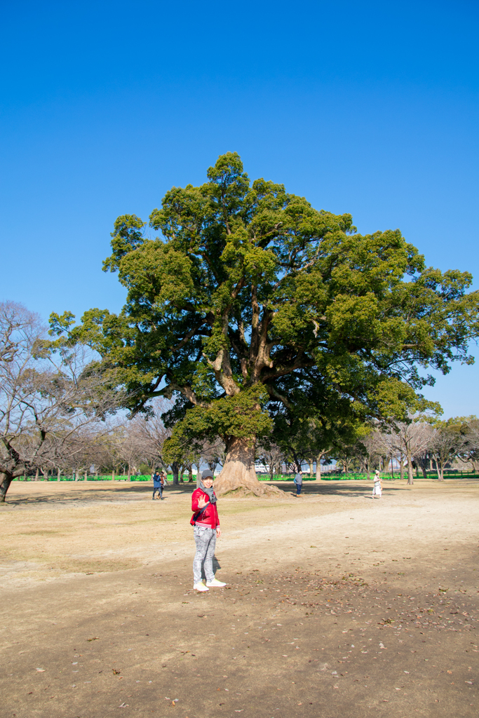 LOG_0193