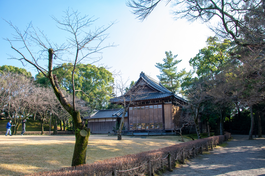 LOG_0335