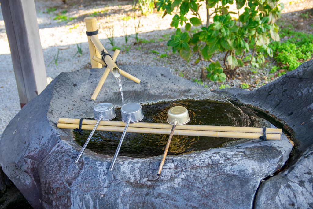 LOG_0088