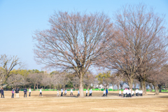 LOG_0173