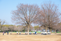 LOG_0174