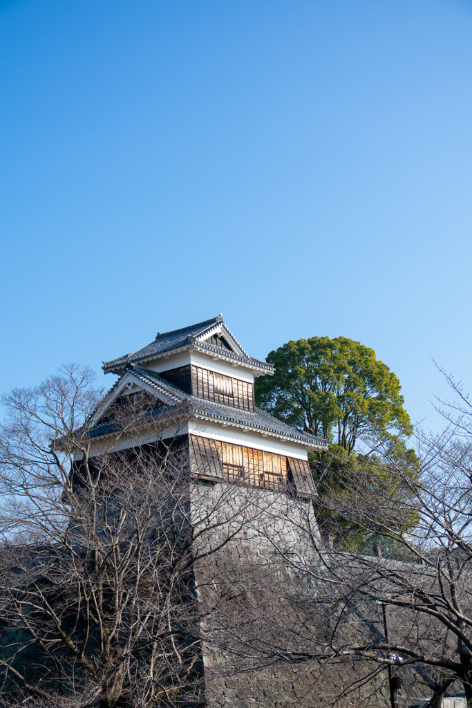 LOG_0149